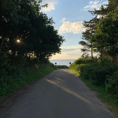The Sunspot Between The Trees At Rageleje * Vejby